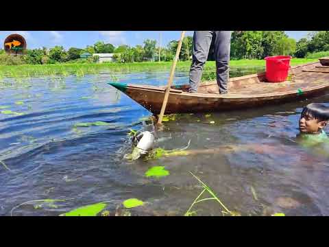 Village Small Boy Boat Fishing In Flood Water Best Fishing