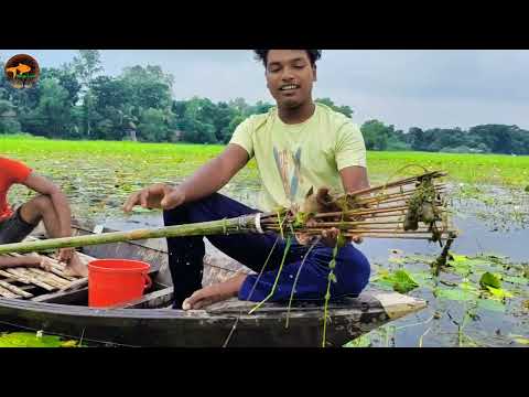 Wow Really Amazing Village Experts Boy Catching Big Fish