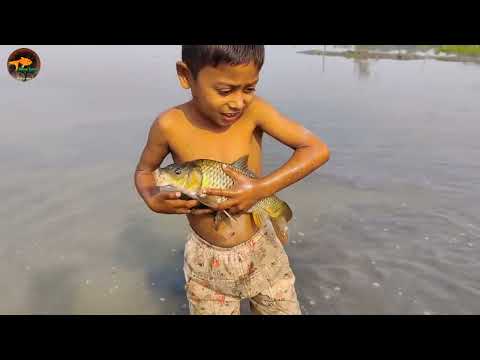 Amazing Hand Fishing Method Village Traditional Boy