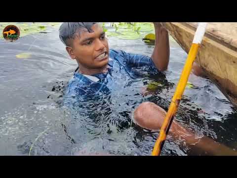 Best Boat Fishing Fast Trap Can Lot Of Big Fish Bamboo