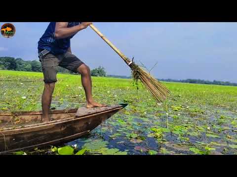 Beautiful Village Daily Life Flood Water Stuck Fish