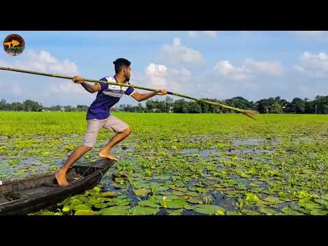 Best Spearfishing From Boat Unique Jumping Fishing