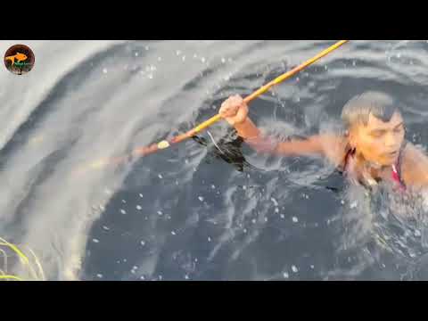 Best Unique Bowfishing From a boat awesome Jumping Fishing