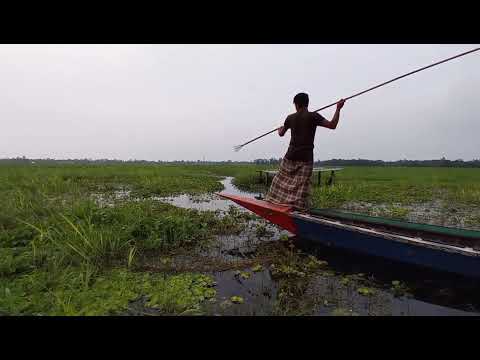 ট ট দ য় ম ছ শ ক র কর ন জ ই প ন ত পর গ য় ছ funny Fishing