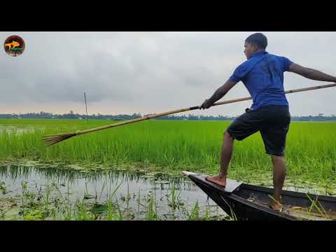 Best Bowfishing From Boat Best Jumping Fishing Technique By
