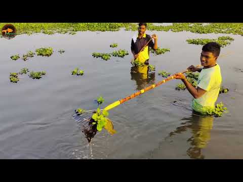 Unbelievable Fishing Technique Best Fishing Method By