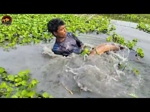 Unbelievable fishing technique Best Underground Monster