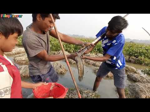 Unique Fishing Spearfishing Catch Big Fish Amazing 4 Boy