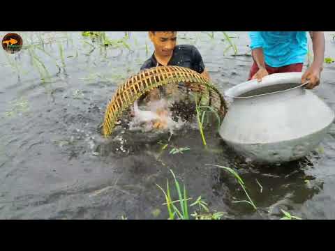 Traditional Village Professional Fisherman Many Fish