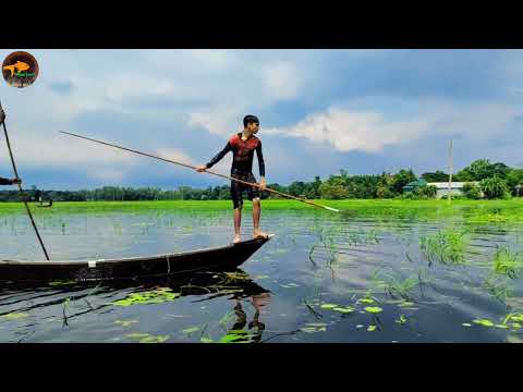 Traditional Fish Catching With Boat In Village Flood Water