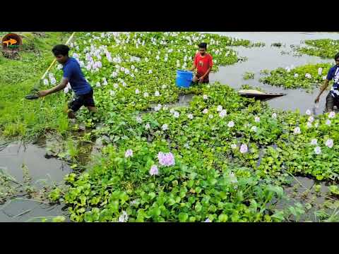 Best Fishing Moment Spearfishing Catch Lot Of Big Fish