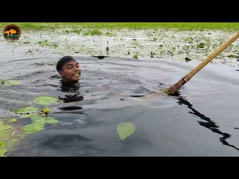 Unique with Best Bowfishing Useing boat Best Jumping