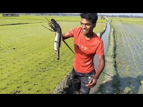 Best Unique Fishing Technique Unbelievable Drean Fishing