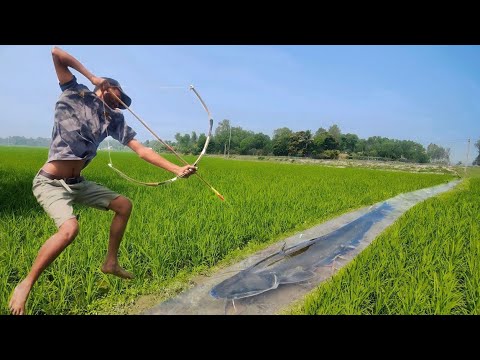 Unbelievable Bamboo Crossbow Fishing Technique Bow Fishing