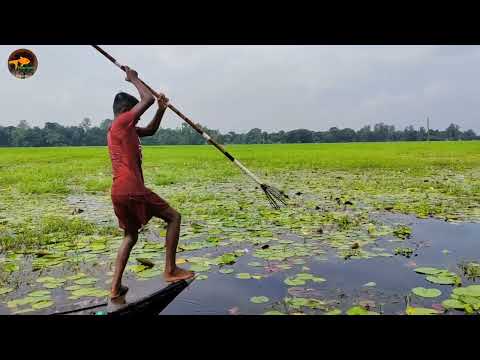 Best Kids Spearfishing Fish Catching With Teta Kids Jumping