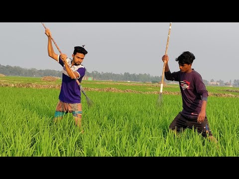 Unbelievable Unique Fishing Technique গ র ম ট ট দ য ম ছ শ ক
