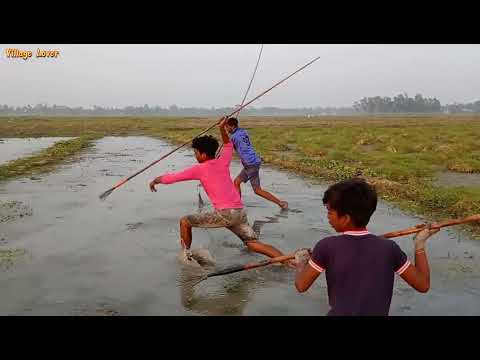 Best Fishing Spearfishing Catch Big Fish amazing 3 boy