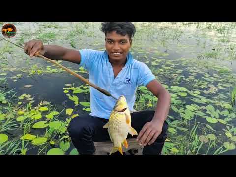 Unbelievable Bamboo Crossbow Fishing Technique Crossbow