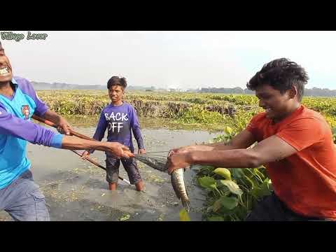 Best Fishing Spearfishing Catch Very Big Fish Amazing boy