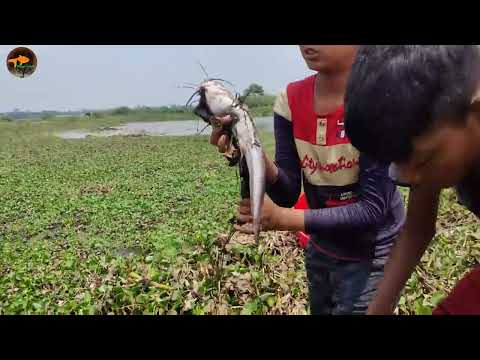 Best Hand Fishing 2022 Village Smart Small Boys Searching