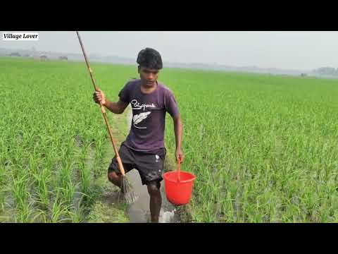 Best Unique Fishing Technique Unbelievable Drean Fishing