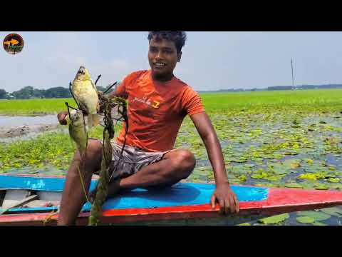 Unique Best Bowfishing From Boat Big Carf fish Catching By