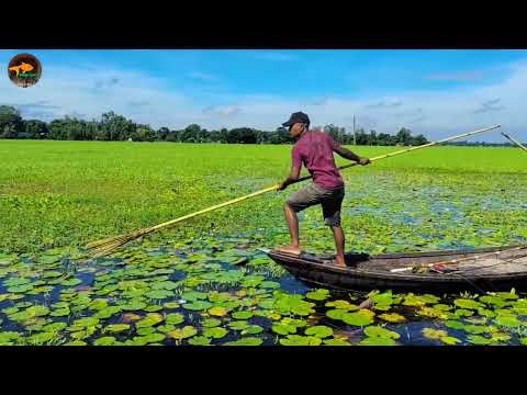 Unique and Best and Natural Fishing Video of Village