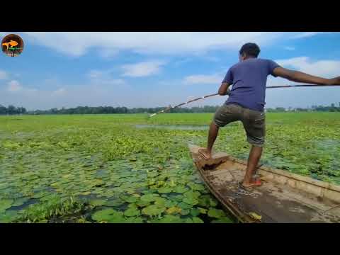 Best Bowfishing From Boat Best Boat Fishing 2021 Bamboo