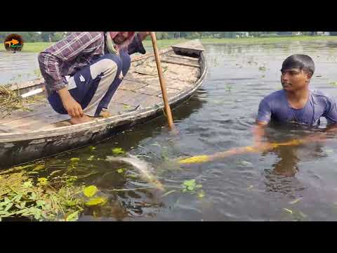 The Man Are Jumping Boat Catching Big Fish Village