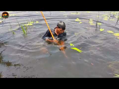 Traditional Village Bamboo Crossbow Fishing Technique By