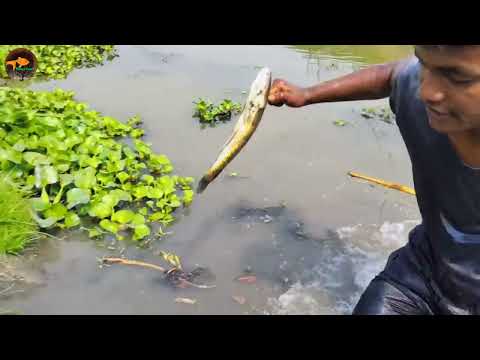 Unbelievable Bamboo Crossbow Fishing Technique Crossbow