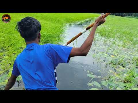Best Bowfishing Form Boat Fast Trap Can Catch Lot Of Big