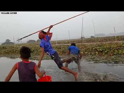 Best Unique Teta Fishing Amazing 4 Boy Catch Lot Of Big