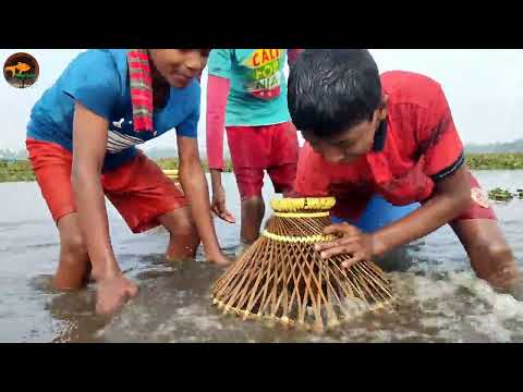 Village Old Traditional fishing Method With Bamboo Tools