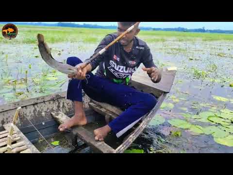Unique Best Bamboo Crossbow Fishing Method With Boat In