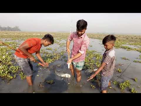 Boal Fishing Big fish hunting with teta spearfishing catch