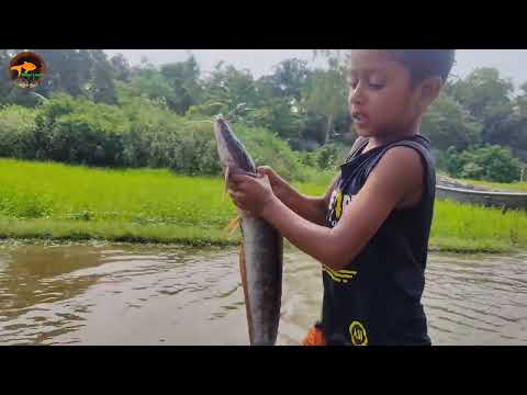 Amazing Hand Fishing Video Professional Village Small Boy