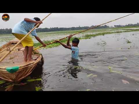 Village Little Boy Fly Fishing Video Small Boy Many Fish