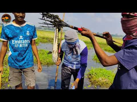 Amazing Jumping Fishing Technique Best Group Fishing Moment