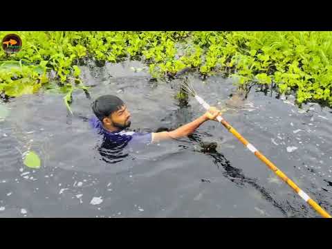 Unbelievable Big Fish Catching By Boat Best Trap Can Catch