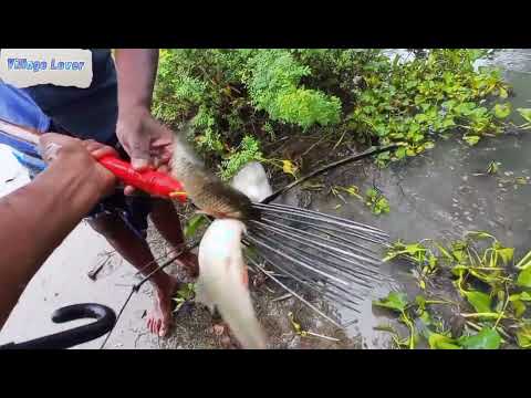 Fishing ব ষ ট ত বন য র প ন ত ট ট দ য় অব শ ব স য ম ছ শ ক র