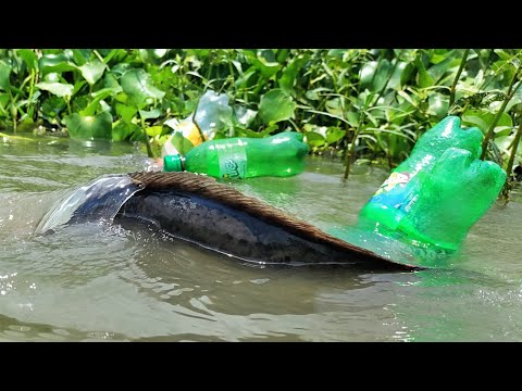 Unbelievable Bottle Fishing Video Traditional Hook Fishing