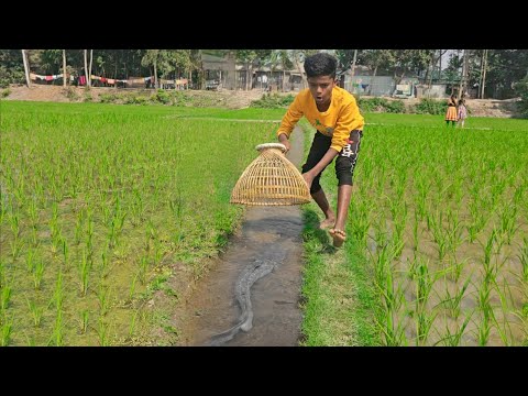 Fishing by exception in Bangladesh Big fish catching video