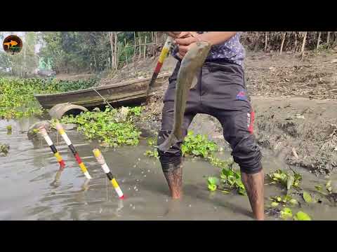 Top Fishing Tricks With Hook In Village Big Pond Amazing