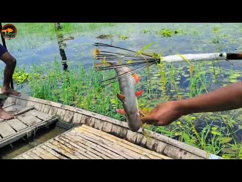 Unique Fishing Moment Compilation গ র ম ট ট দ য ম ছ শ ক র র