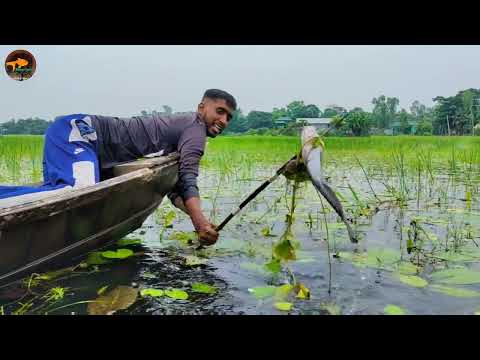 Unbelievable Bamboo Crossbow Fishing Technique With Boat In