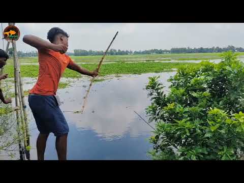Unbelievable Big Fish Catching Bamboo Crossbow Fishing