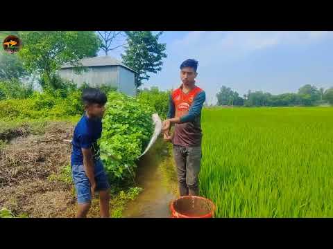 New Fish Catching Method With Bamboo Crossbow In Water