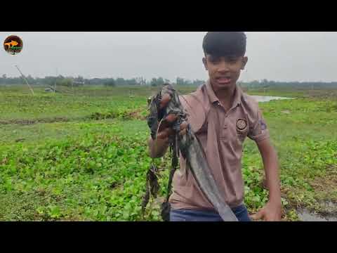 Unique Hand Fishing Video 2023 Big Stuck Fish Catching in