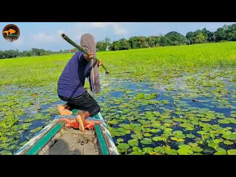 Unique Bowfishing using little Boat Best Fishing method By